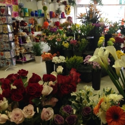 About Needham Florist Needham, MA Florist